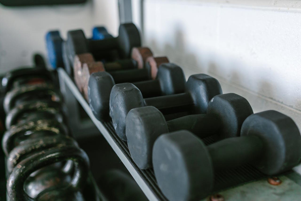 Home Neatly arranged dumbbells and kettlebells on racks in a gym environment.